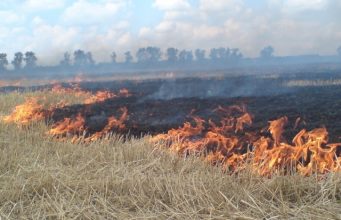 МЧС прогнозирует запах гари по ночам в Астрахани